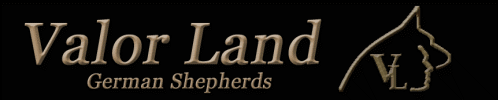 ValorLand Kennel